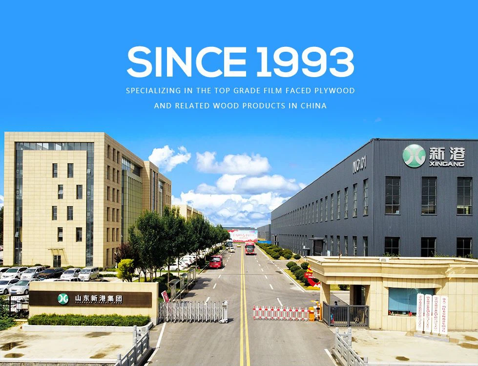 Shandong Xingang Group